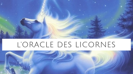 L'Oracle des Licornes, un grand coup de coeur !