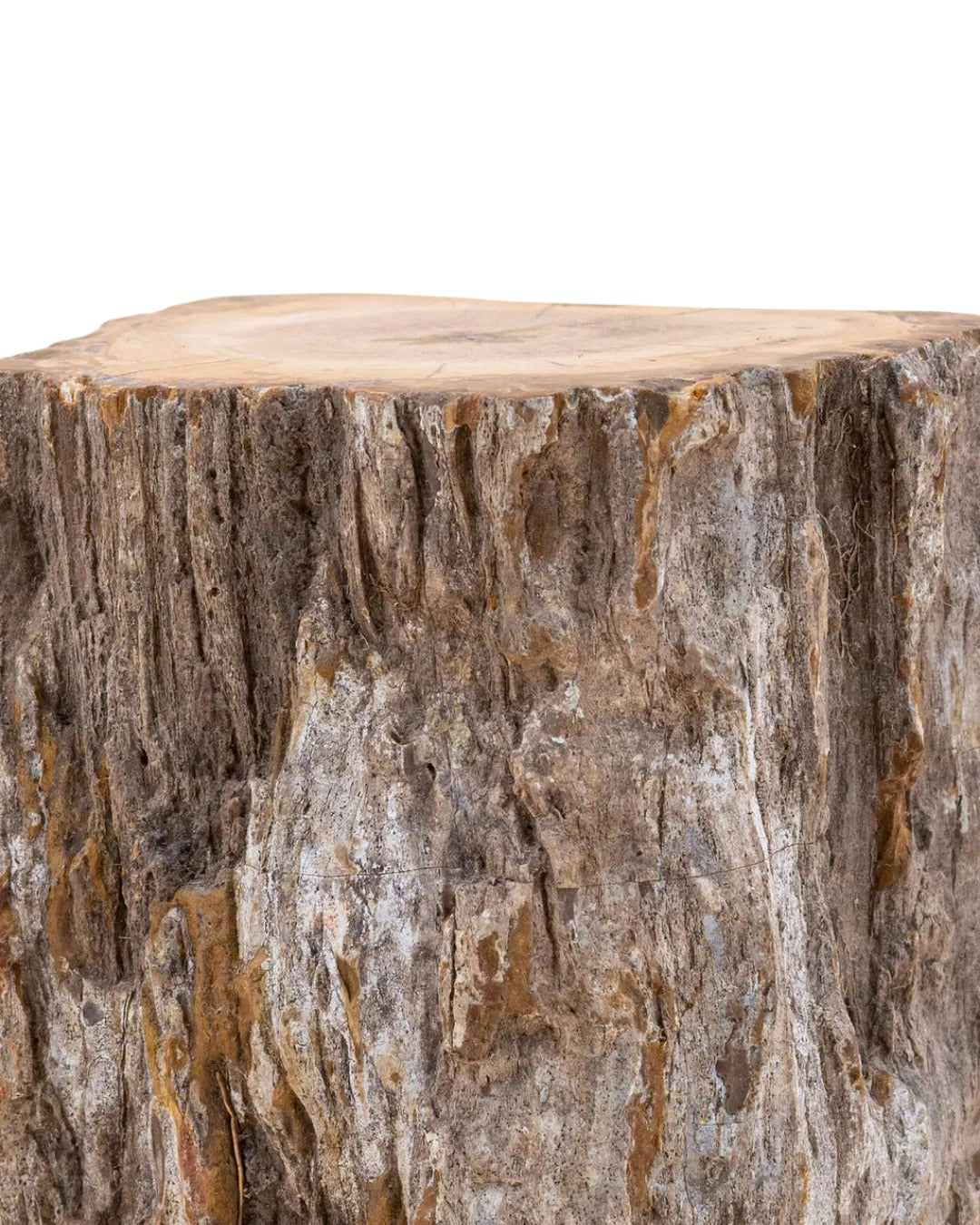 Bois fossilisé brut de Madagascar - vue 4