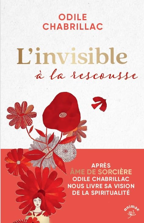 L'invisible à la rescousse - Odile Chabrillac