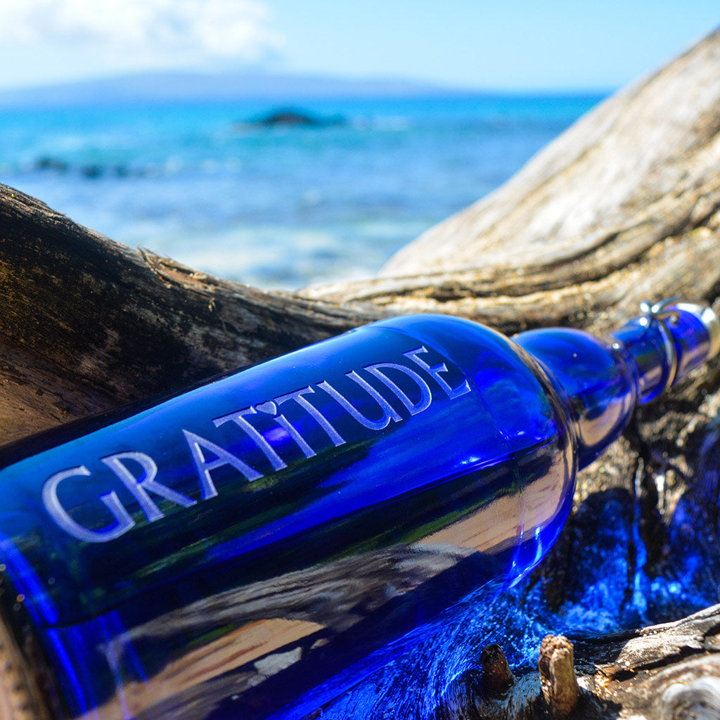 Blue Bottle GRATITUDE 0,75 L