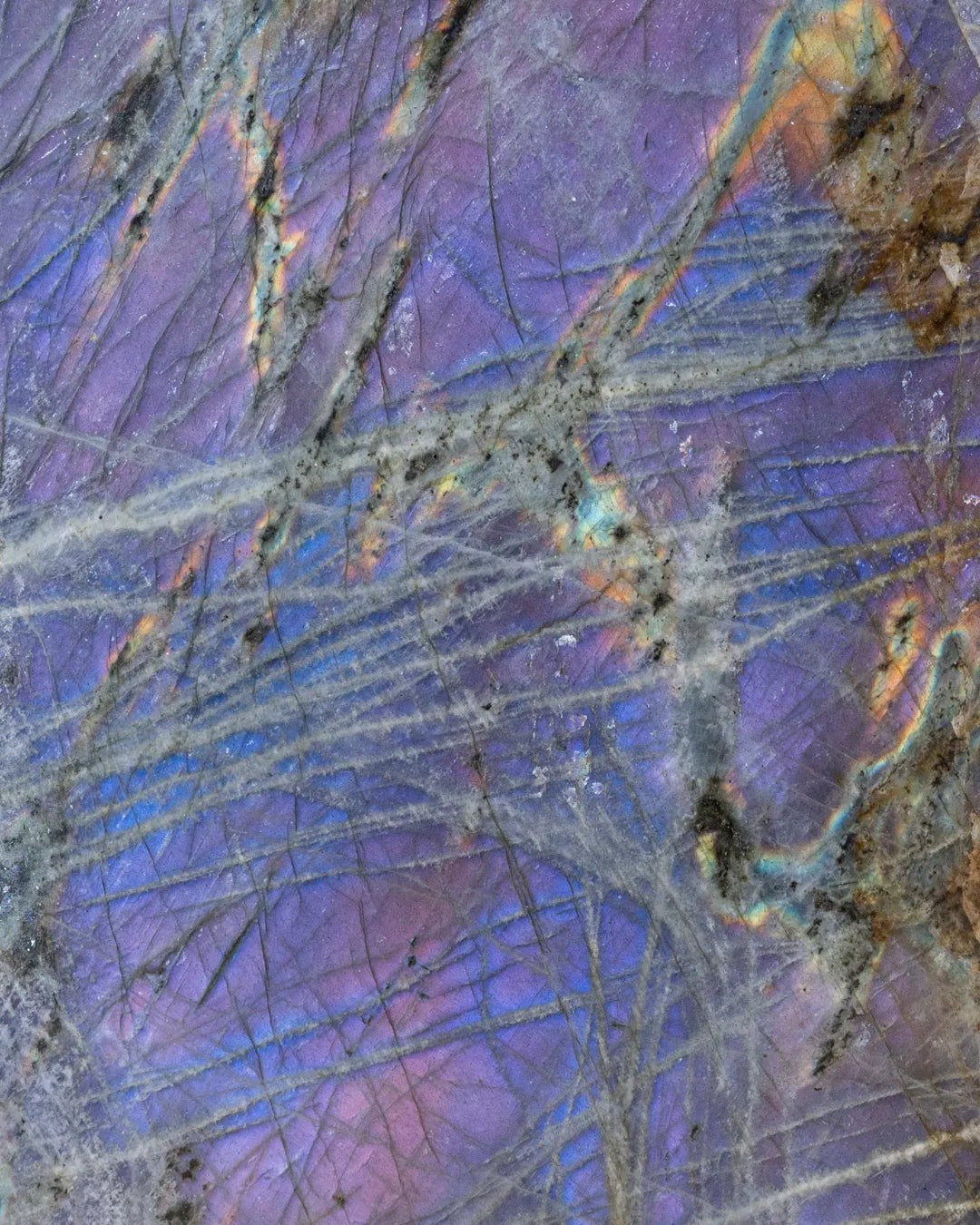 Labradorite violette de Madagascar - vue 4