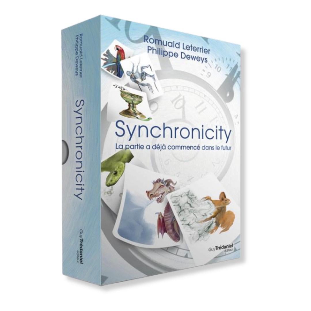 Jeu Synchronicity - Romuald Leterrier