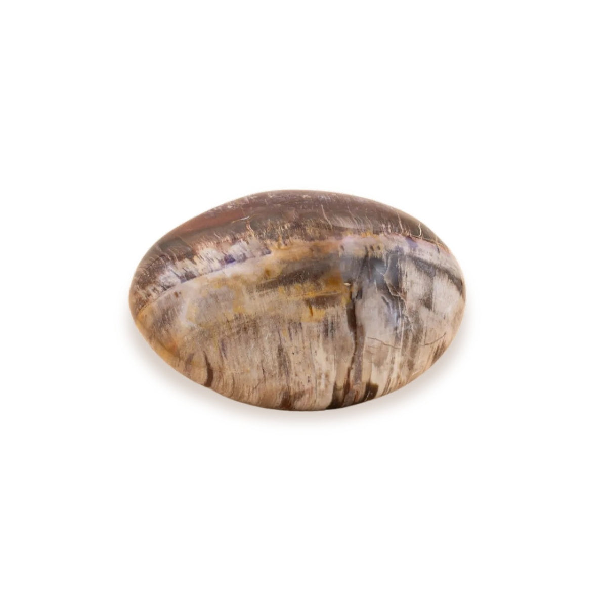 Bois fossilisé brut de Madagascar - vue 1