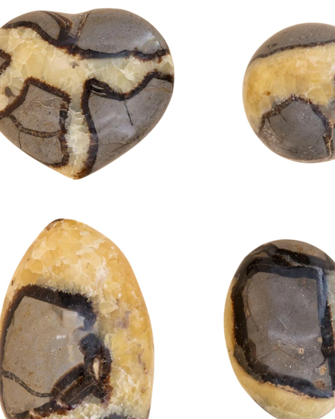 Galet de septaria de Madagascar - vue 4
