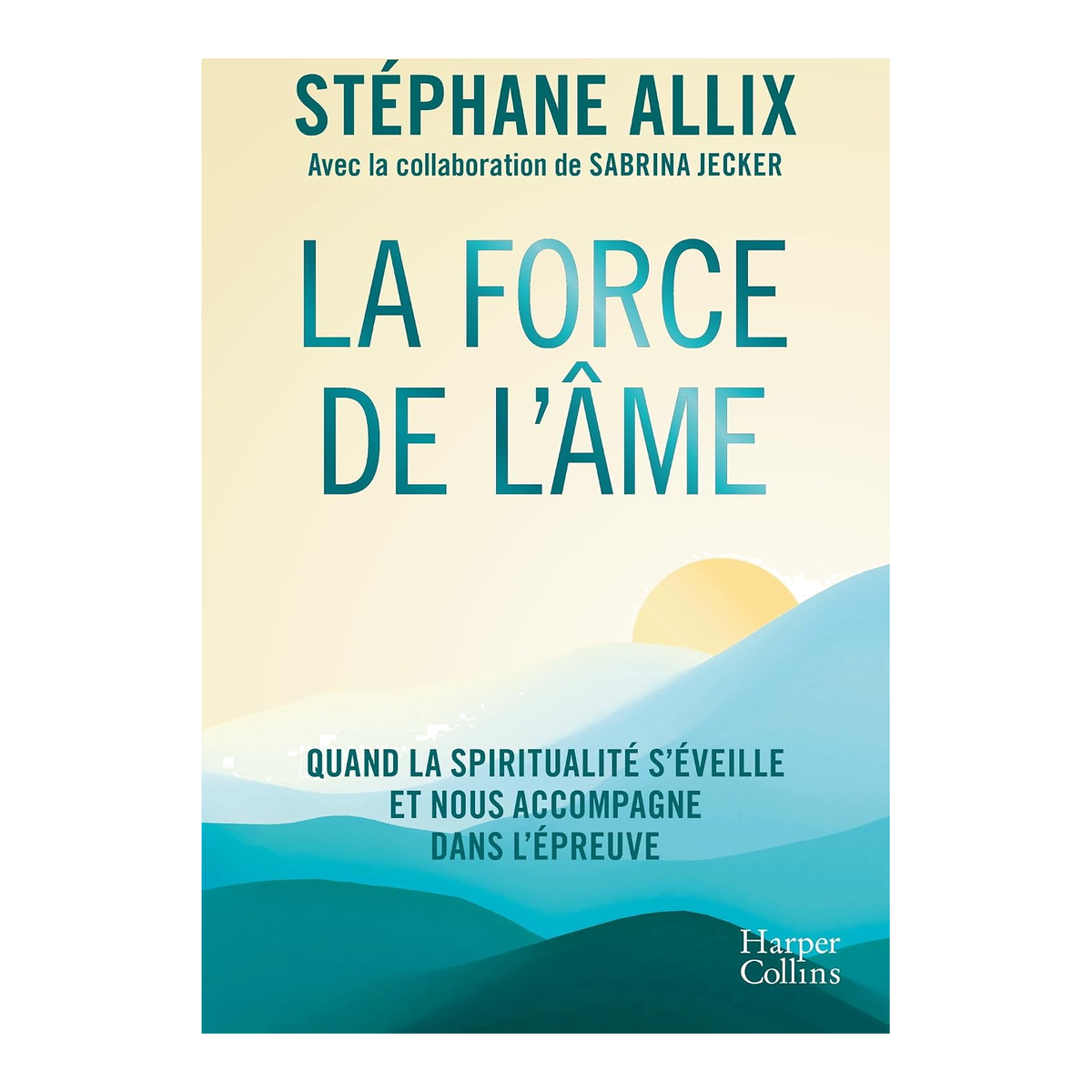 La Force de l'âme, Stéphane Allix — couverture