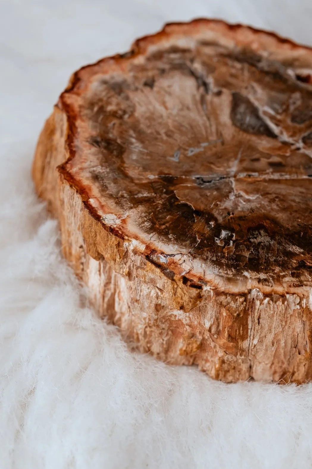 Bois fossilisé brut de Madagascar - vue 3