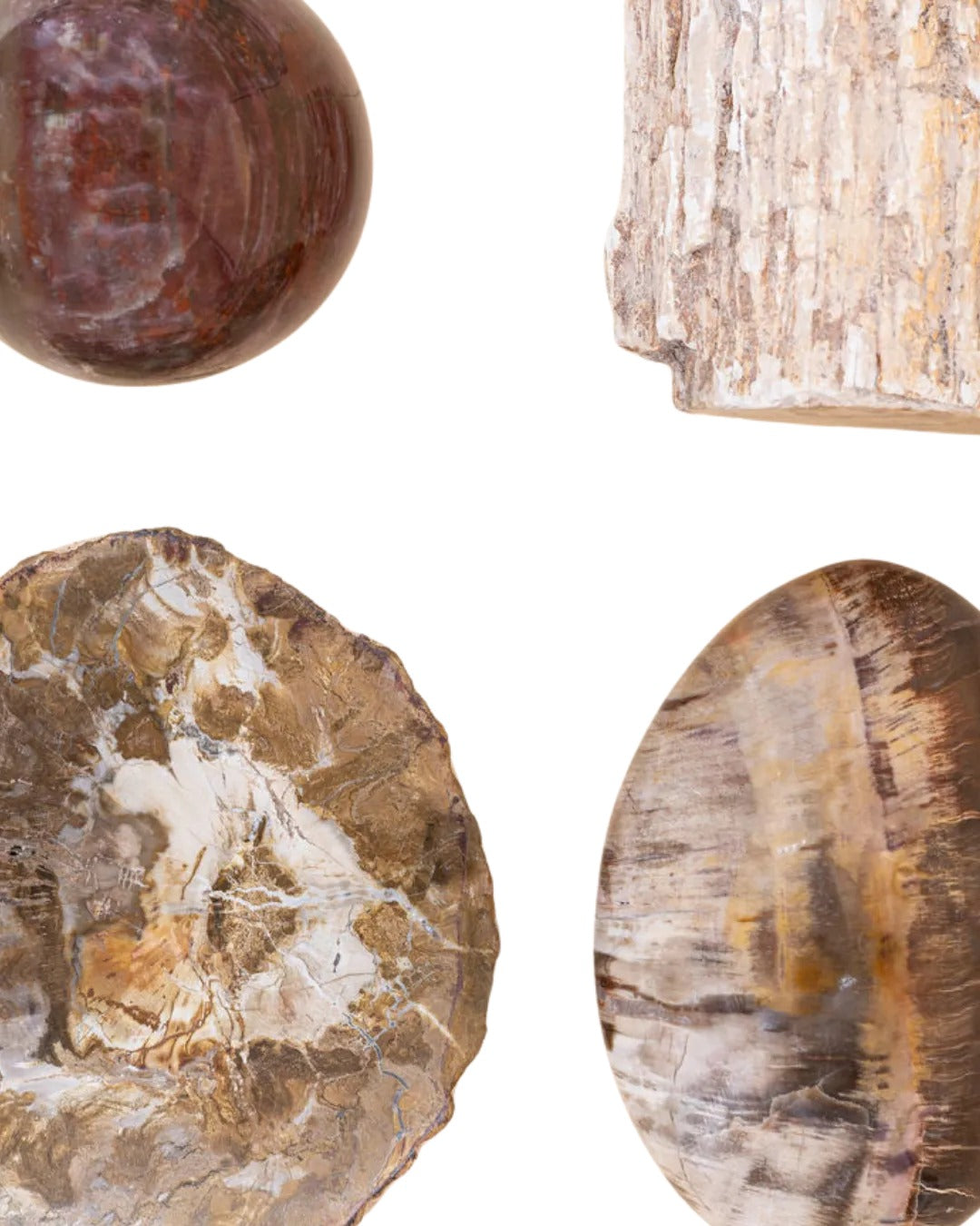 Bois fossilisé brut de Madagascar - vue 2
