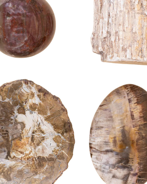 Bois fossilisé brut de Madagascar - vue 2
