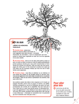 PACK Cahier d'exercices du Défi des 100 jours pour TROUVER SA MISSION DE VIE  + Carnet de notes + 100 cartes intuition