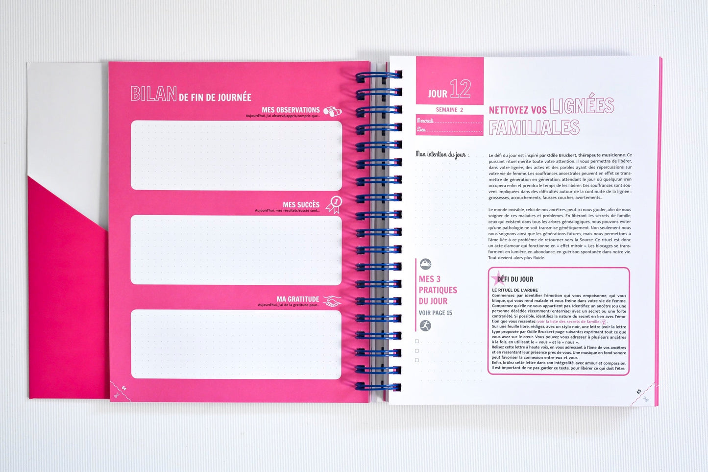 PACK Cahier d'exercices du Défi des 100 jours pour ÉVEILLER SON FÉMININ + Carnet de notes
