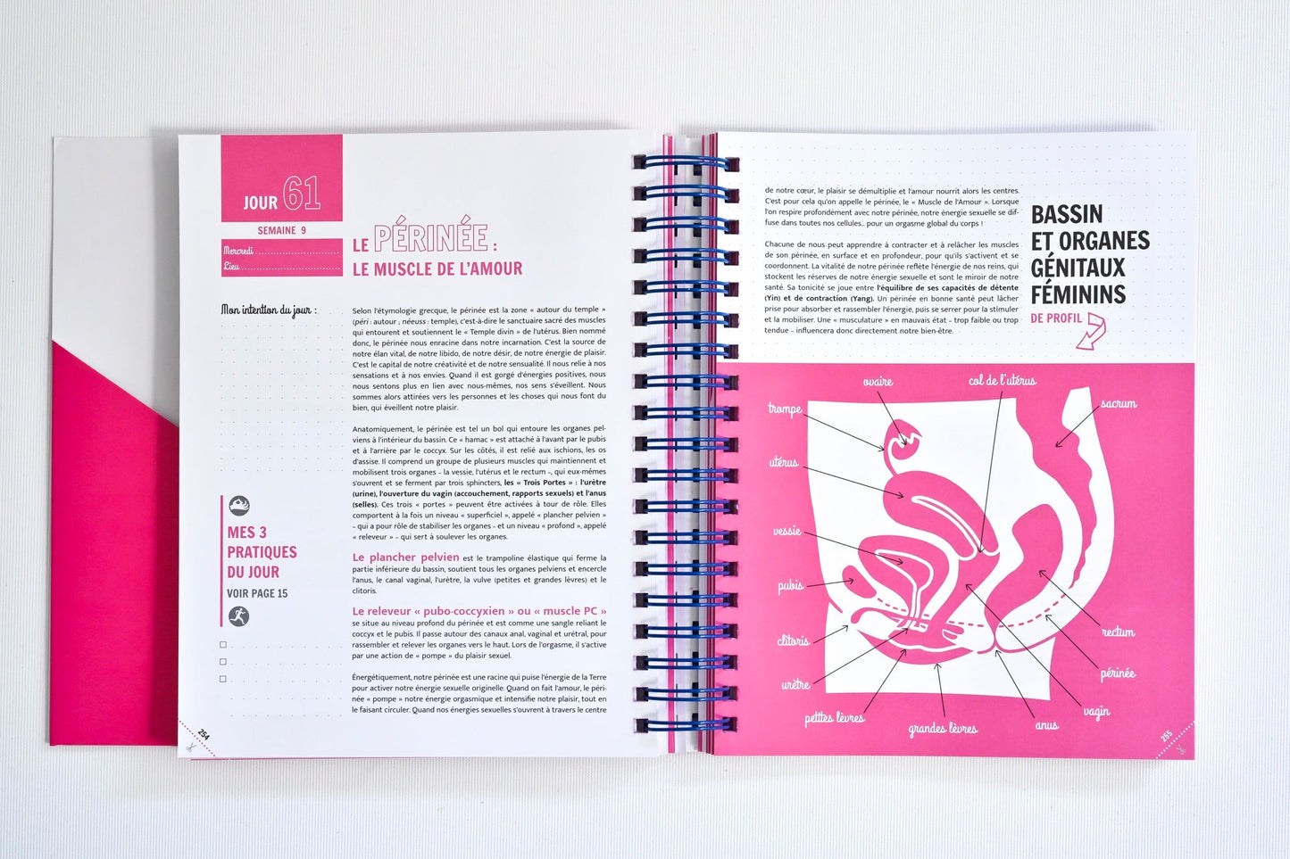 PACK Cahier d'exercices du Défi des 100 jours pour ÉVEILLER SON FÉMININ + Carnet de notes