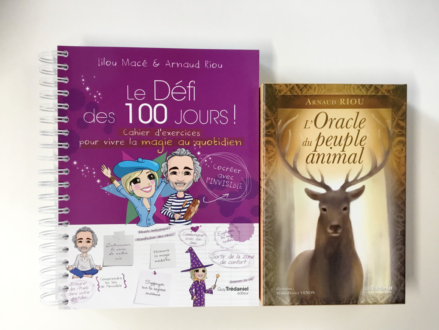 Pack Cahier Défi 100 Jours MAGIE et L'Oracle du peuple animal